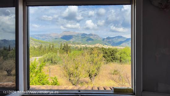 FINCA RÚSTICA EN SELVA EN PROCESO DE LEGALIZACION , 16.000 M2 - BALEARES