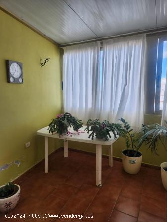 Apartamento Céntrico y Luminoso en Icod de los Vinos - SANTA CRUZ DE TENERIFE