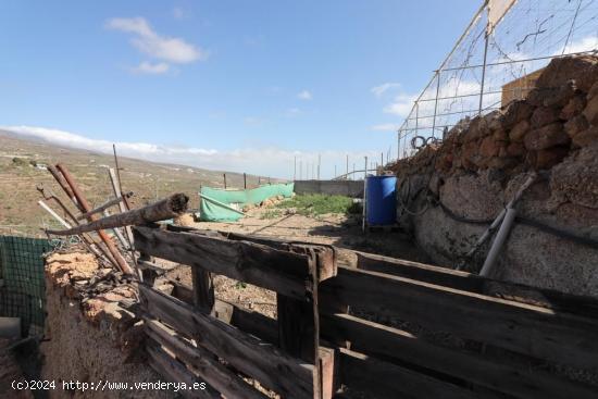 Terreno con construcción a reformar e invernaderos en Arico Viejo - SANTA CRUZ DE TENERIFE