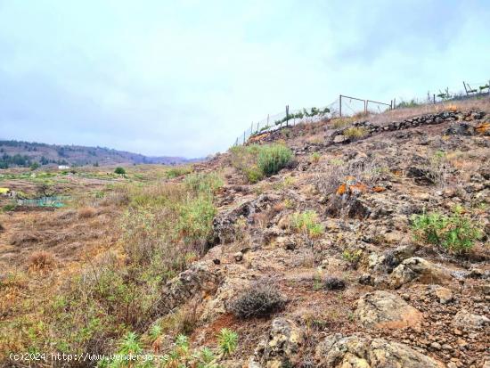 Parcelas rústicas en venta en Taucho, Adeje - SANTA CRUZ DE TENERIFE