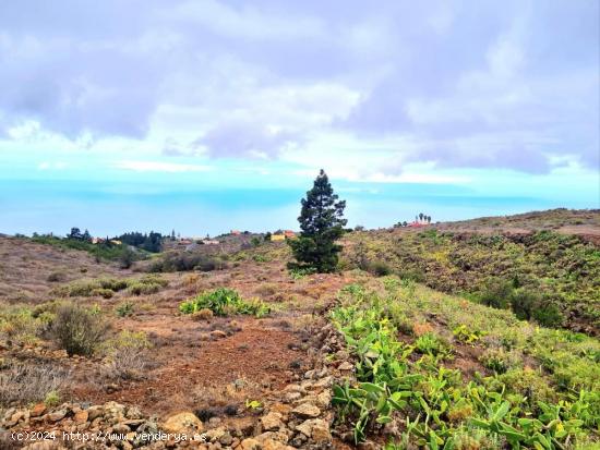 Parcelas rústicas en venta en Taucho, Adeje - SANTA CRUZ DE TENERIFE