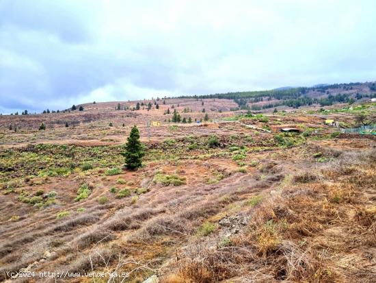 Parcelas rústicas en venta en Taucho, Adeje - SANTA CRUZ DE TENERIFE