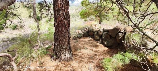 Espléndido terreno con cuevas en Araya - SANTA CRUZ DE TENERIFE