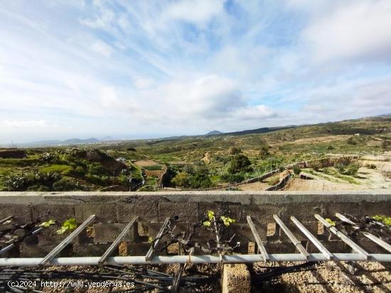 Finca con producción de vino con lagar en el Río de Arico - SANTA CRUZ DE TENERIFE