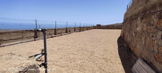  Finca rústica registrada en Los Blanquitos, Granadilla de Abona - SANTA CRUZ DE TENERIFE 