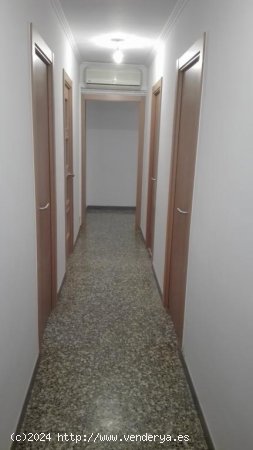 Piso en alquiler  en Tarragona - Tarragona