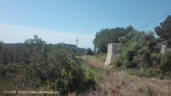 Suelo rústico en venta  en Tarragona - Tarragona