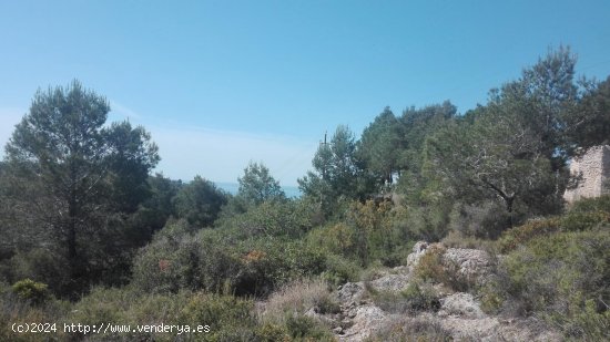 Suelo rústico en venta  en Tarragona - Tarragona