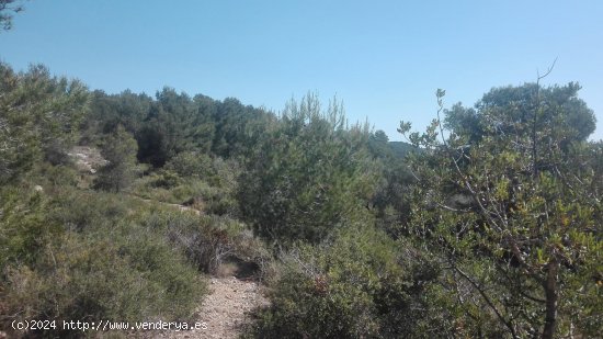 Suelo rústico en venta  en Tarragona - Tarragona