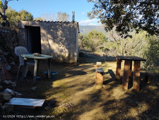 Suelo rústico en venta  en Aleixar, L - Tarragona