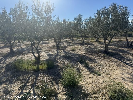 Suelo rústico en venta  en Concabella - Lleida