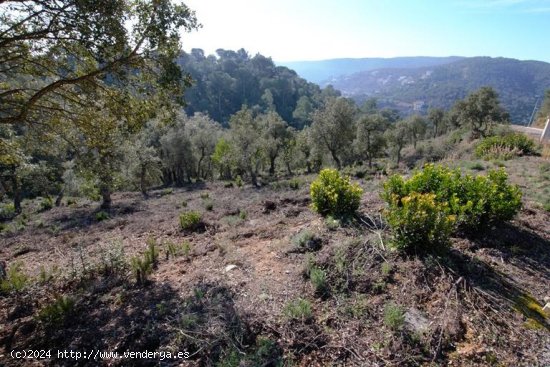 Suelo urbano en venta  en Calonge - Girona