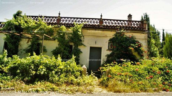 FINCA RÚSTICA EN VENTA EN FUENTEHERIDOS (HUELVA) ESPAÑA. - Fuenteheridos