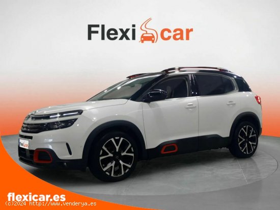 Citroën C5 Aircross BlueHdi 132kW (180CV) S&S EAT8 Shine - Ourense