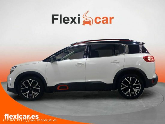 Citroën C5 Aircross BlueHdi 132kW (180CV) S&S EAT8 Shine - Ourense