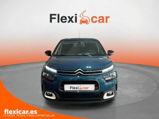 Citroën C4 Cactus BlueHDi 73KW (100CV) Feel - Albacete