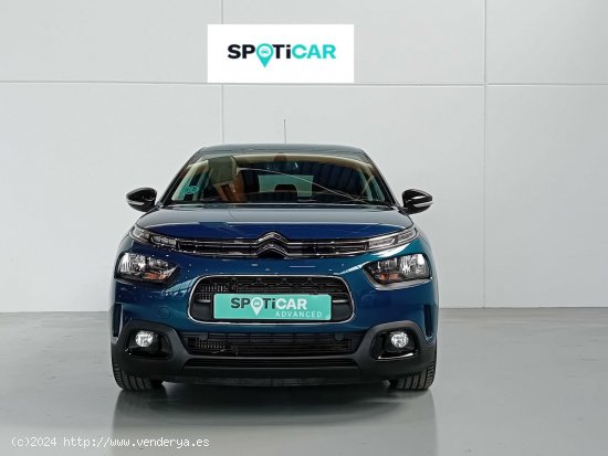 Citroën C4 Cactus  PureTech 130 S&S EAT6 Shine - Mataro