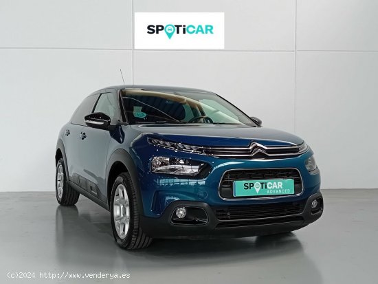 Citroën C4 Cactus  PureTech 130 S&S EAT6 Shine - Mataro