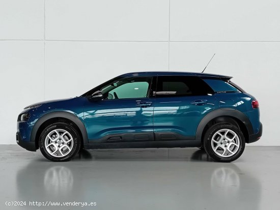 Citroën C4 Cactus  PureTech 130 S&S EAT6 Shine - Mataro