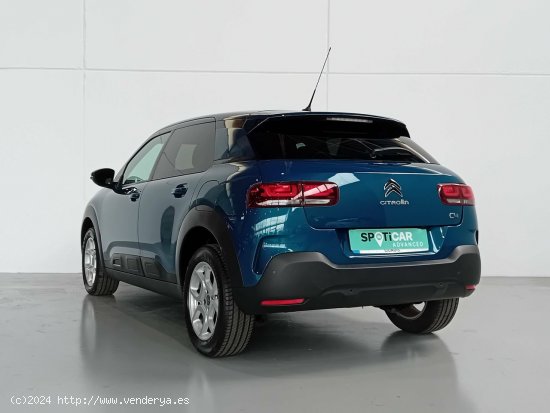 Citroën C4 Cactus  PureTech 130 S&S EAT6 Shine - Mataro