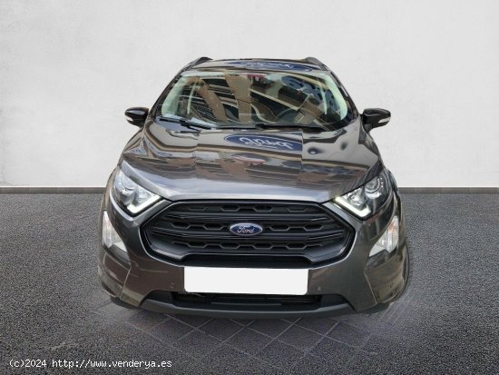 Ford Ecosport 1.0T EcoBoost 92kW (125CV) S&S ST Line GRIS MAGNETIC - Valencia