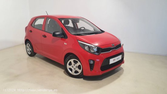 Kia Picanto 1.0 DPi 49kW (67CV) Concept - Zaratán