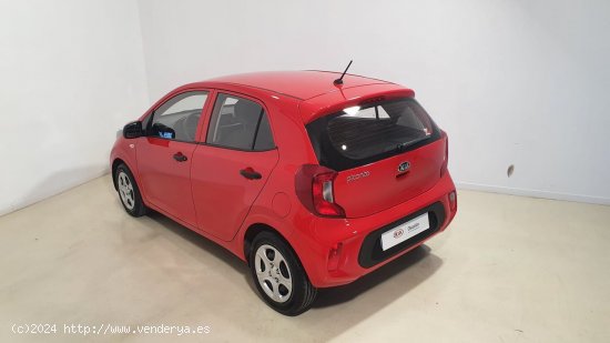 Kia Picanto 1.0 DPi 49kW (67CV) Concept - Zaratán