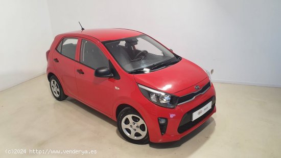 Kia Picanto 1.0 DPi 49kW (67CV) Concept - Zaratán