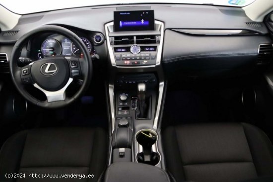 LEXUS NX en venta en LalÃ­n (Pontevedra) - LalÃ­n