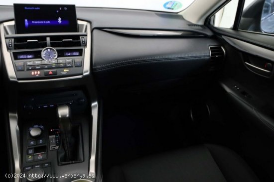 LEXUS NX en venta en LalÃ­n (Pontevedra) - LalÃ­n