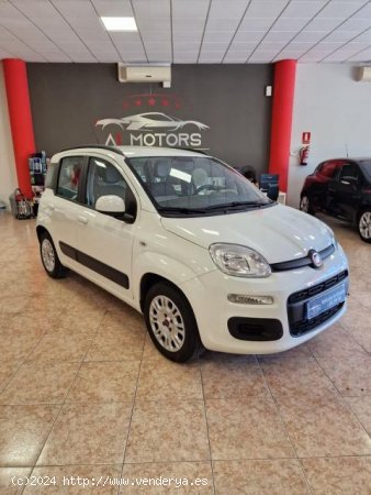 FIAT Panda en venta en Santa Cruz de Tenerife (S.C. Tenerife) - Santa Cruz de Tenerife