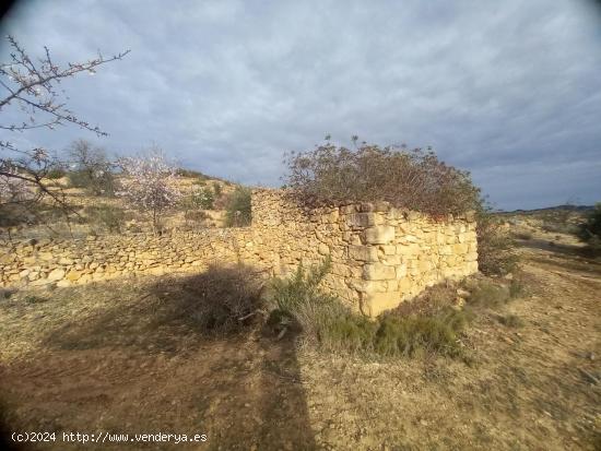 OPORTUNIDAD  FINCA DE ALMENDROS EN LA TORRE DE L´ESPANYOL. - TARRAGONA