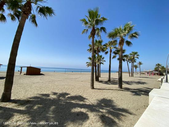  La ultima gran Oportunidad / parcela en el centro de Estepona - MALAGA 