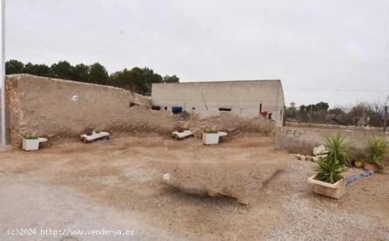  3 Terrenos en el Campillo de Arriba, Fuente Alamo. - MURCIA 