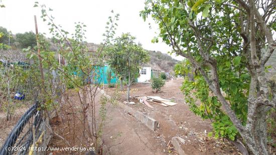  TU REFUGIO IDEAL EN LA NATURALEZA EN LA VEGA DE SAN MATEO  - LAS PALMAS