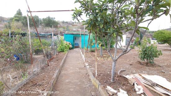  TU REFUGIO IDEAL EN LA NATURALEZA EN LA VEGA DE SAN MATEO  - LAS PALMAS