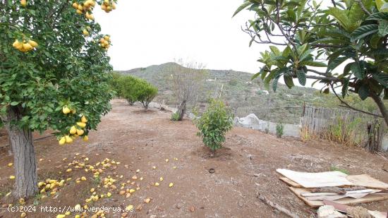  TU REFUGIO IDEAL EN LA NATURALEZA EN LA VEGA DE SAN MATEO  - LAS PALMAS