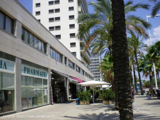 Piso frente al mar, fantásticas vistas. - BARCELONA