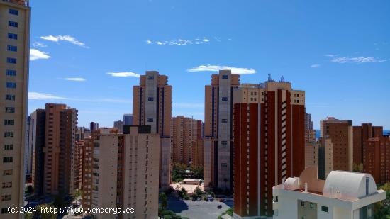  Apartamento con 2 dormitorios y amplia terraza acristalada en zona Levante. - ALICANTE 