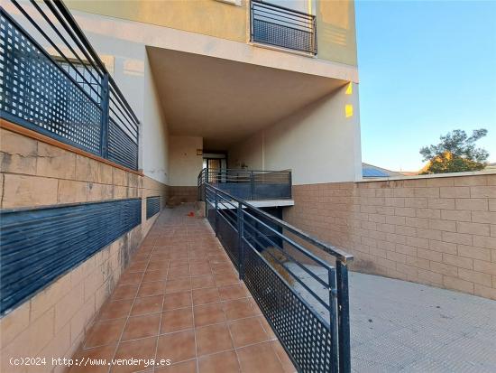 SE VENDE 10 VIVIENDAS EN VILLANUEVA DEL RIO SEGURA - MURCIA