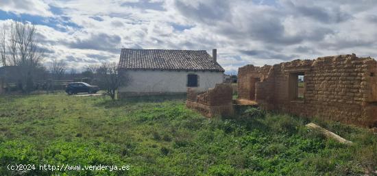 FINCA RUSTICA DE REGADÍO EN CUBILLAS DE SANTA MARTA (VALLADOLID) - VALLADOLID