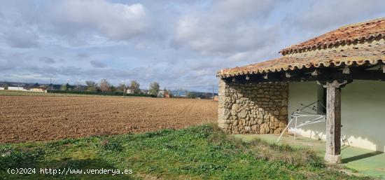 FINCA RUSTICA DE REGADÍO EN CUBILLAS DE SANTA MARTA (VALLADOLID) - VALLADOLID