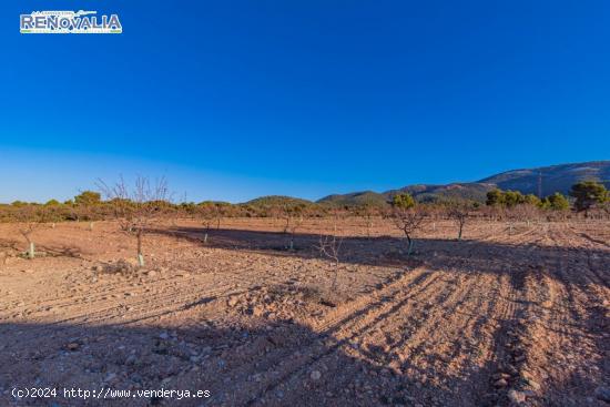 junto al parque natural de la sierra de baza un sitio para desconectar - GRANADA