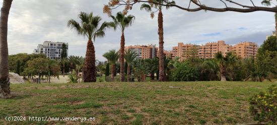 Alquiler de Local Pau II - ALICANTE