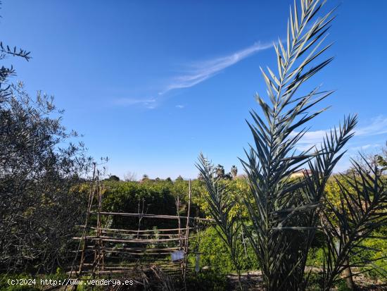 CASA DE HUERTA CON PARCELA - MURCIA