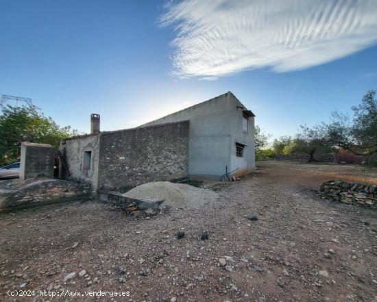 Finca Rústica de 25.674 M2 con antigua casa de campo y 2 almacenes - TARRAGONA