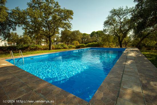 PRECIOSA PARCELA CON CHALET Y PISCINA EN UN PARAGE MUY TRANQUILO - BADAJOZ