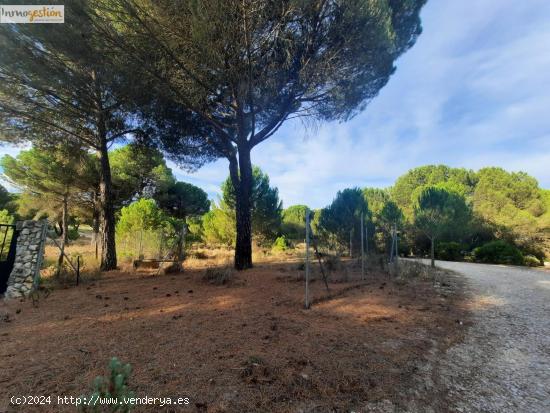 EN VENTA TERRENO RÚSTICO, TUDELA DE DUERO - VALLADOLID