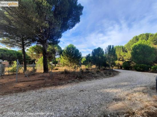 EN VENTA TERRENO RÚSTICO, TUDELA DE DUERO - VALLADOLID