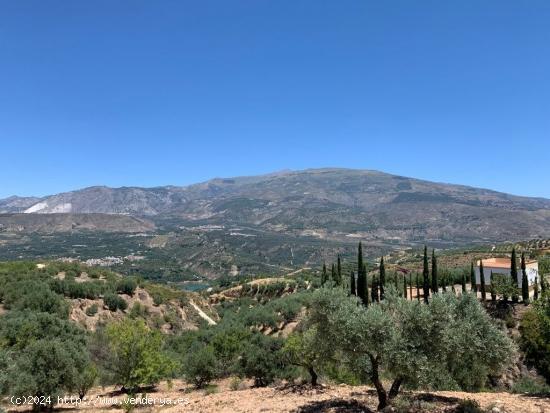 Magnifica finca (Restábal) - GRANADA